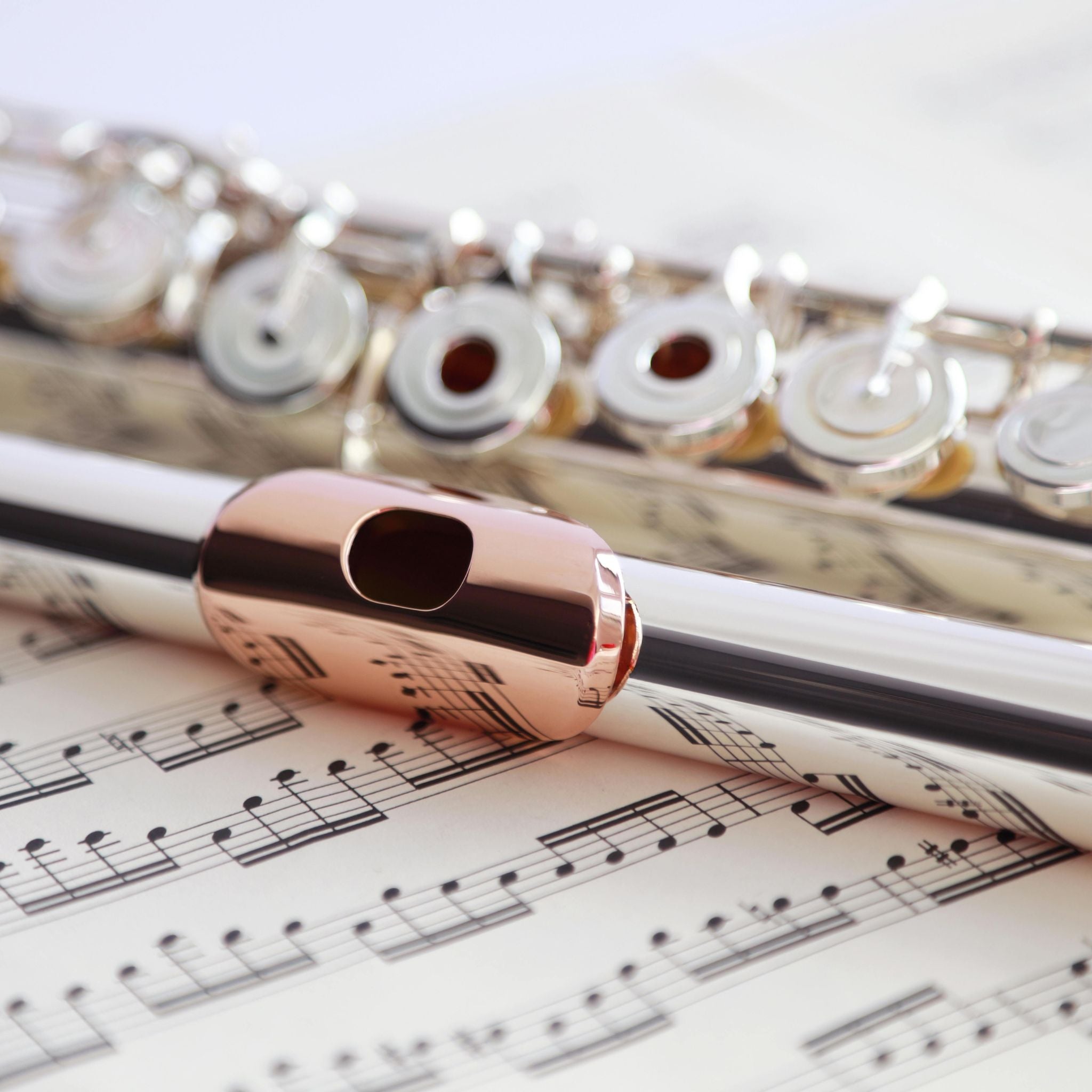Shop Flutes