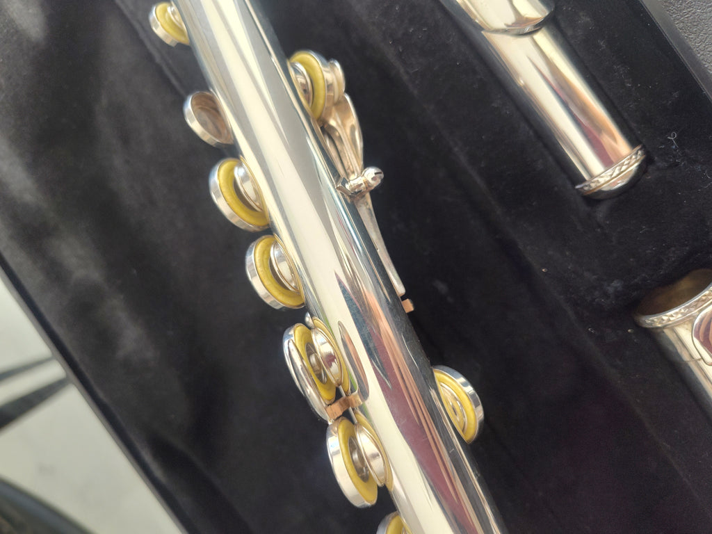 Trevor James 10XE Flute Closed Hole, Offset G, C foot VIDEO DEMO