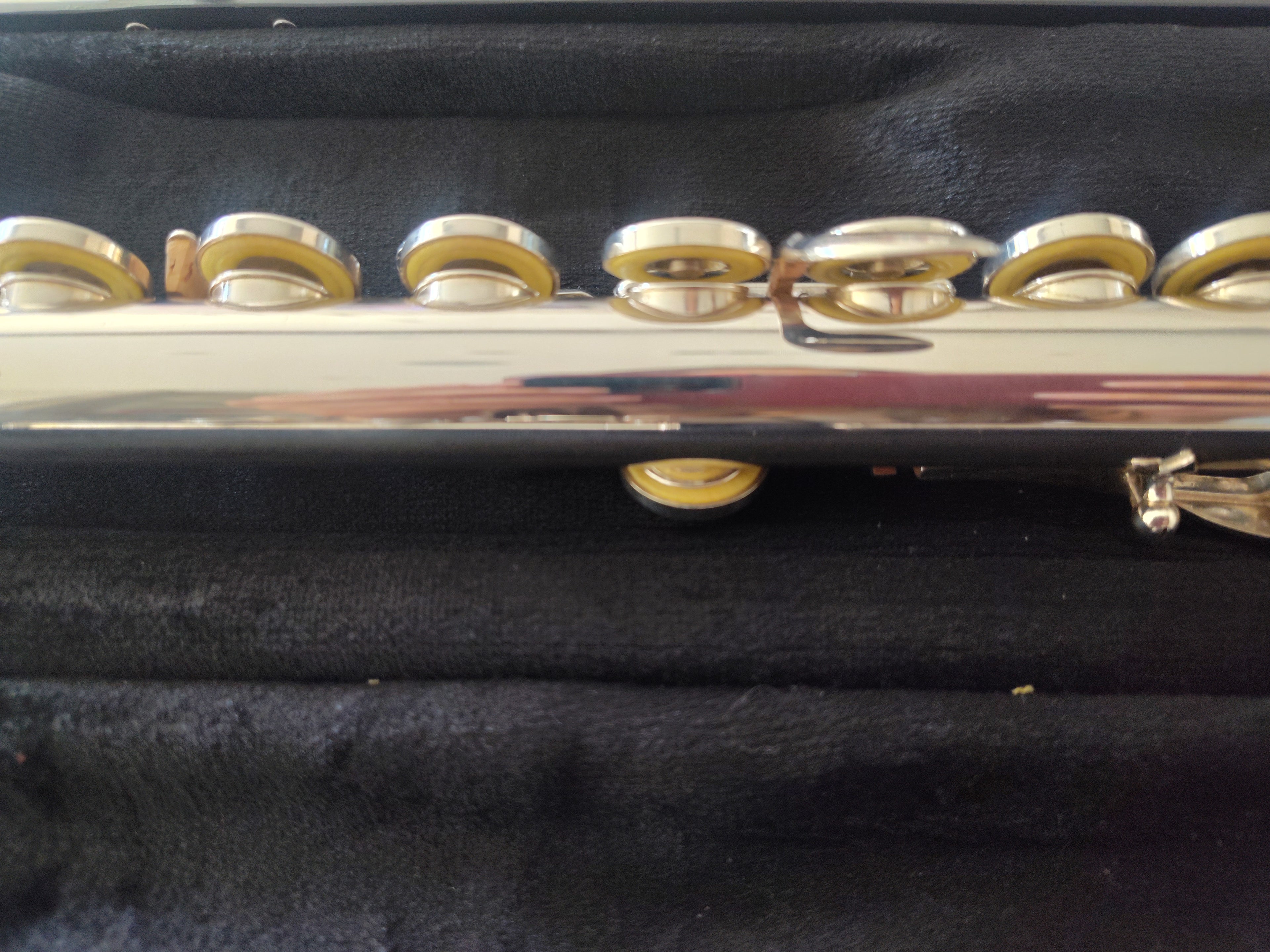 Trevor James 10XE Flute Closed Hole, Offset G, C foot VIDEO DEMO