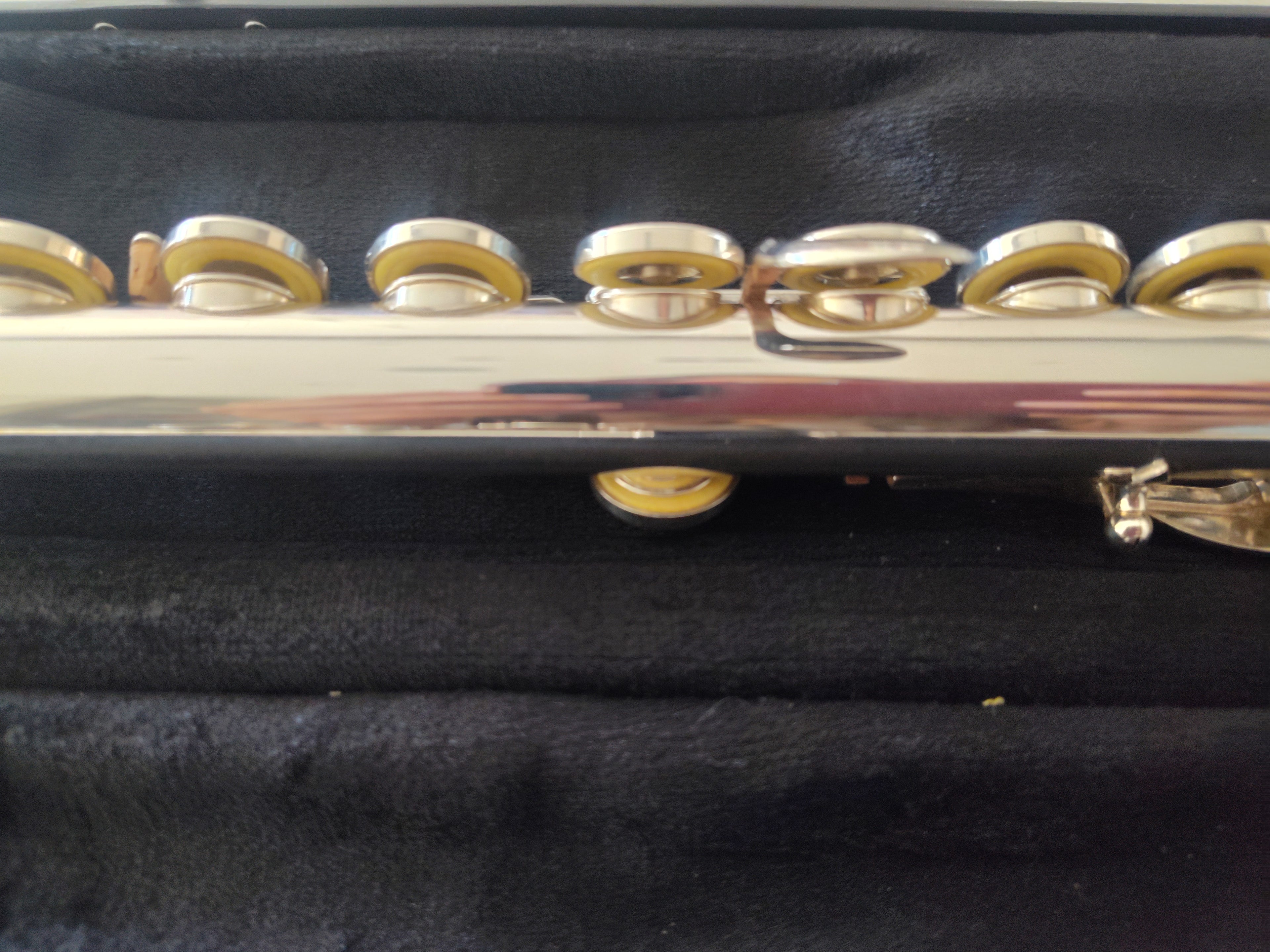 Trevor James 10XE Flute Closed Hole, Offset G, C foot VIDEO DEMO
