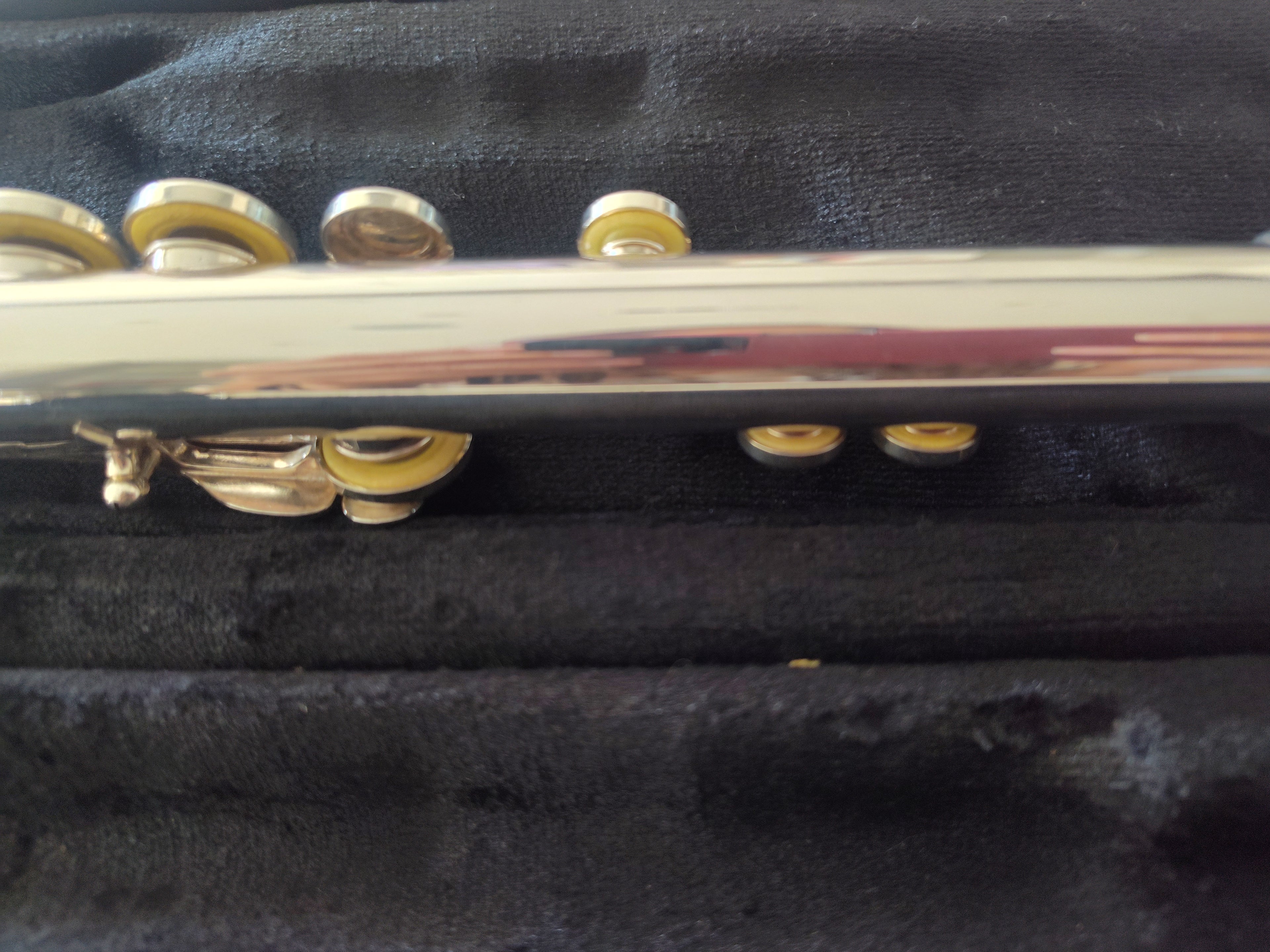 Trevor James 10XE Flute Closed Hole, Offset G, C foot VIDEO DEMO