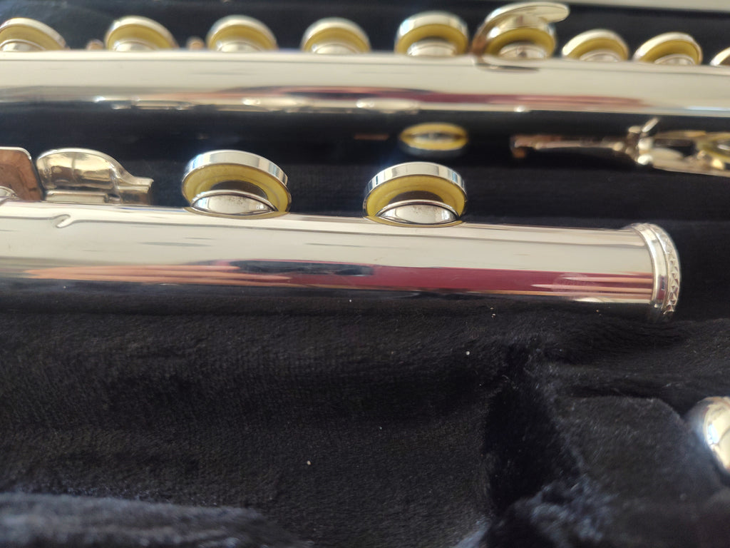Trevor James 10XE Flute Closed Hole, Offset G, C foot VIDEO DEMO