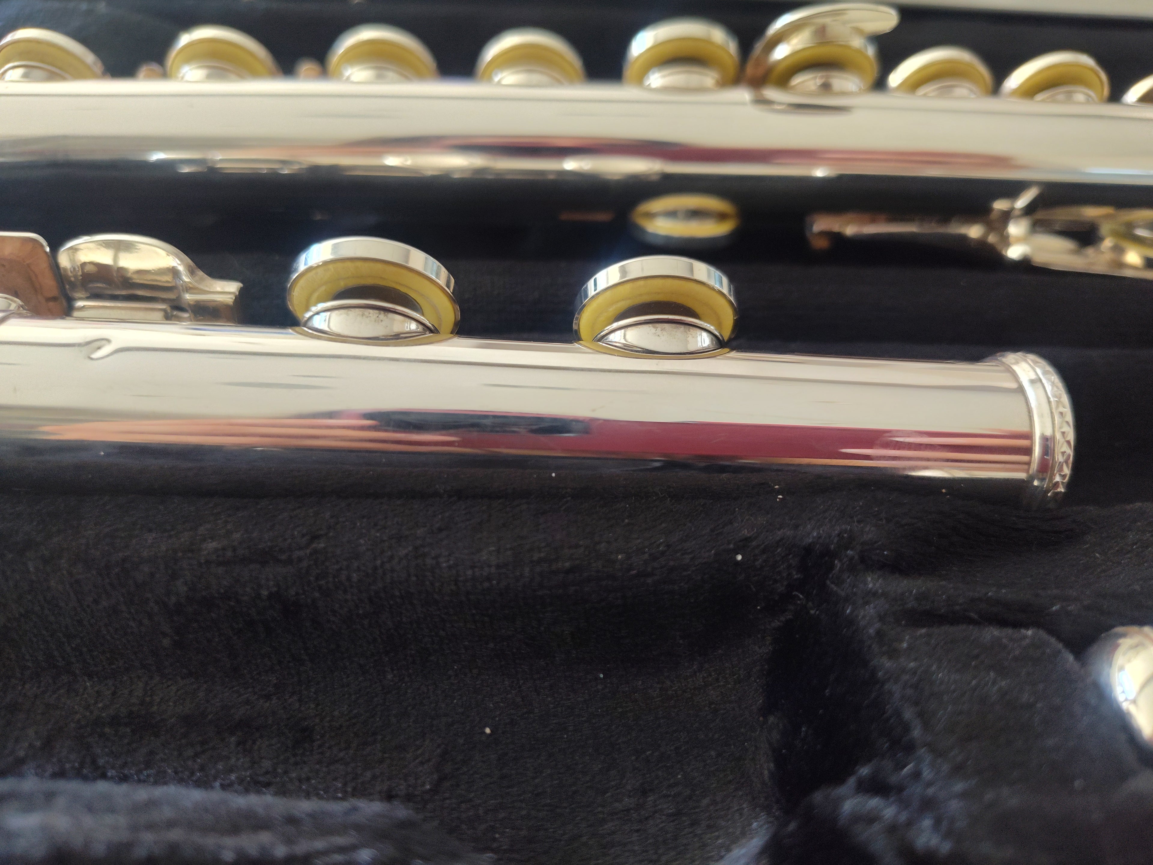 Trevor James 10XE Flute Closed Hole, Offset G, C foot VIDEO DEMO