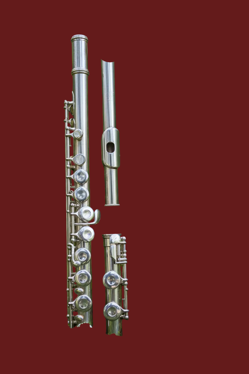 Gemeinhardt 2SP OVERHAULED FLUTE OFFSET G, C FOOT VIDEO DEMO