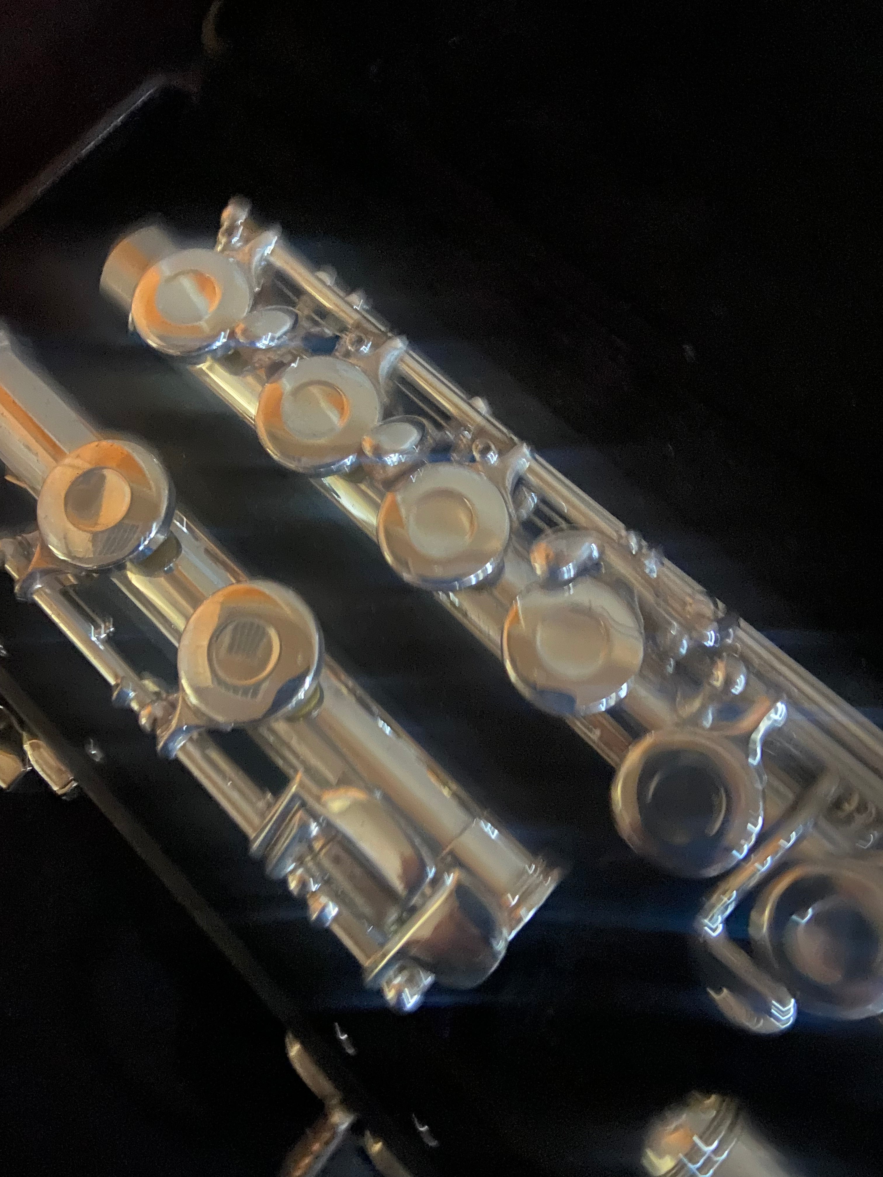 Gemeinhardt 22SP OVERHAULED FLUTE OFFSET G, C FOOT VIDEO DEMO